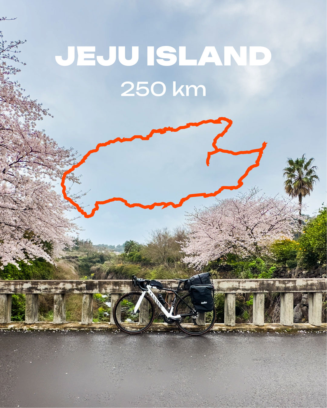 Jeju Island